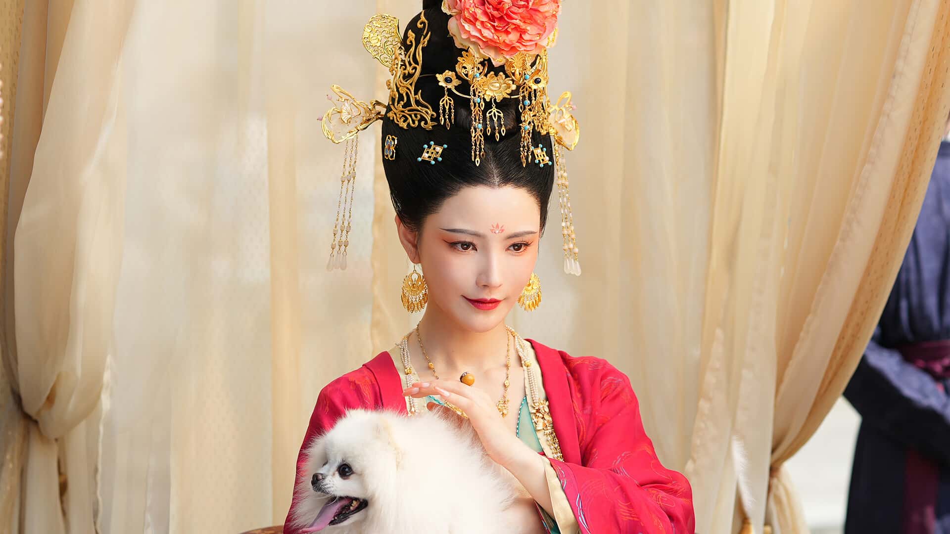 女王的游戏 盛世天下 媚娘篇 中文版全息投影